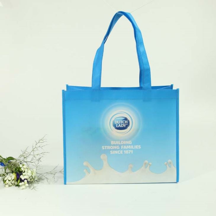 100 Gram Non Woven Promotion Bag Product Packing Bag