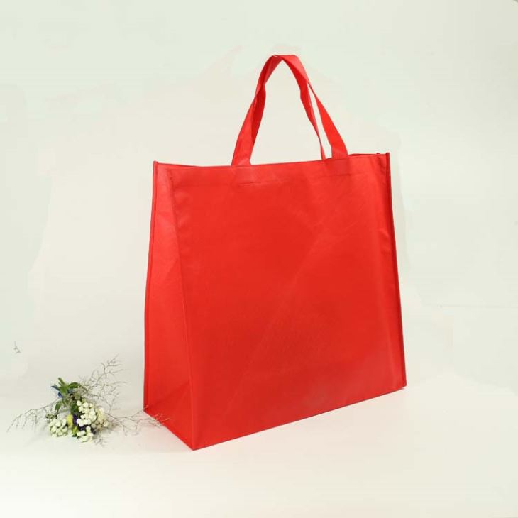 80 Gram Blank Non Woven Packing Bag Promotion Bag