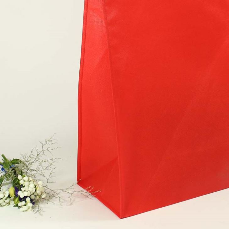 80 Gram Blank Non Woven Packing Bag Promotion Bag